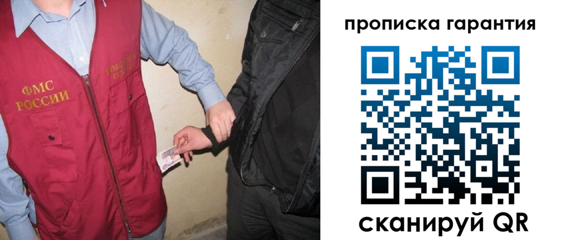 прописка для школы в Курской области